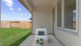 31218 Carmelas Landing Drive - Photo 18