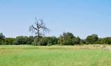 Lot 3 Harvell Lane - Photo 6