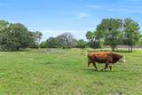 41545 Fm 3346 Road - Photo 40
