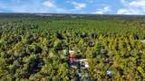 27090 Diamond C Road - Photo 21