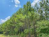 0 Us Hwy 59 - Photo 15