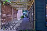 14317 Cashel Forest Drive - Photo 34