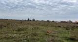 2409 Mound Road - Photo 11