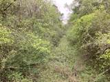 0 County Road 4876 - Photo 10