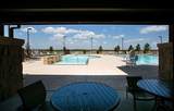26026 Steele Flower Drive - Photo 14