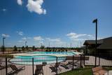 26026 Steele Flower Drive - Photo 16