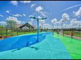 26026 Steele Flower Drive - Photo 3