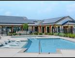 26026 Steele Flower Drive - Photo 4