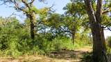 TBD Jack Rabbit Lane - Photo 12