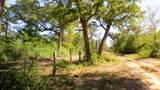 TBD Jack Rabbit Lane - Photo 13