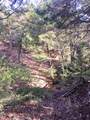 TBD Jack Rabbit Lane - Photo 15