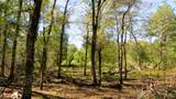 TBD Jack Rabbit Lane - Photo 8