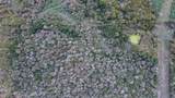 0 Mangum Road - Photo 13