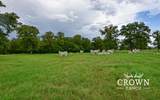 TBD Fm 908 - 1057 Acres - Photo 17