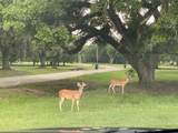 113 Pony Trail - Photo 11