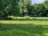 113 Pony Trail - Photo 12