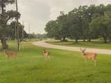 113 Pony Trail - Photo 13