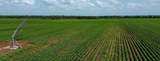 000 Sims Lane Lane - Photo 2