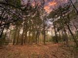 lot 175 County Road 3017C - Photo 1