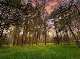 lot 175 County Road 3017C - Photo 4