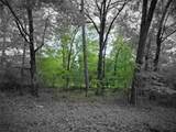 TBD Lot 25 Bending Oaks Lane - Photo 1