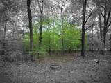 TBD Lot 25 Bending Oaks Lane - Photo 2