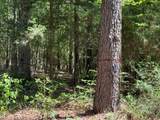 TBD Cr 4720 - Photo 28