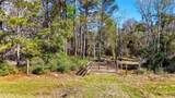 21223 Peach Wood - Photo 2