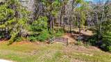21223 Peach Wood - Photo 3