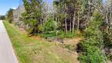 21223 Peach Wood - Photo 4