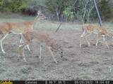 6289 Maynard Hallmark Road - Photo 14