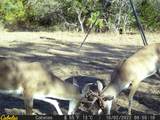 6289 Maynard Hallmark Road - Photo 16