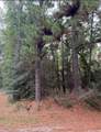 TBD Rustling Wind - Photo 8