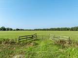 TBD County Road 155 - Photo 13