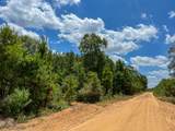 0000 County Road 1420 - Photo 14