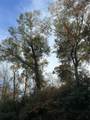 TBD Bay Hill Rd Road - Photo 6