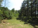 0025 Fm 256 N - Photo 6