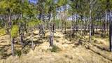 0413 Wells Landing Rd Road - Photo 6