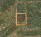 Parcel 5 Lobo Lane - Photo 1
