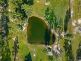 9155 Grizzly Drive - Photo 45