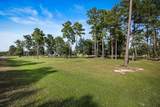 9155 Grizzly Drive - Photo 48