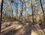 47 Copperleaf Rd - Photo 10