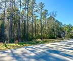 47 Copperleaf Rd - Photo 12