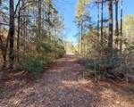 47 Copperleaf Rd - Photo 5