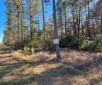 47 Copperleaf Rd - Photo 6
