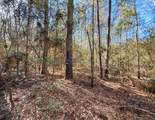 47 Copperleaf Rd - Photo 8