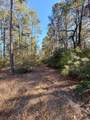 47 Copperleaf Rd - Photo 9