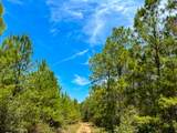 0 Lost Indian Camp Road - Photo 2