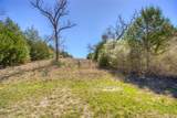 TBD County Road 482 - Photo 22