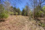 TBD County Road 482 - Photo 29